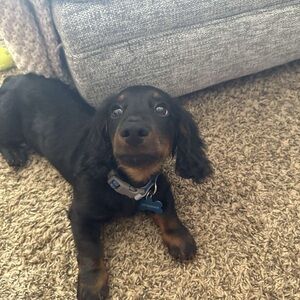 Meet your Posher, Reganne